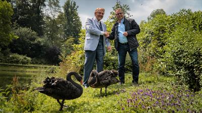�bergabe Trauerschw�ne