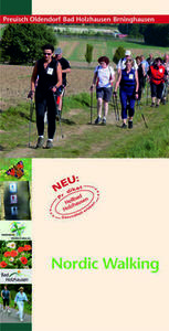 Titel Flyer Nordic Walking