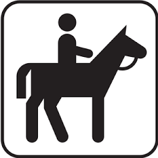 Reiten