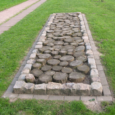 4. Feld mit kleinen Baumscheiben