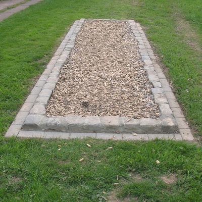 9. Feld mit Rindenmulch