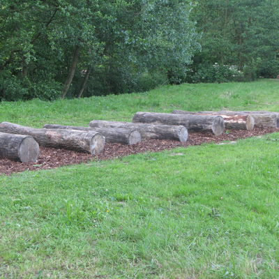 16. Von Stamm zu Stamm