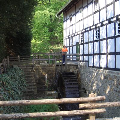 Das Wasserrrad der M�hle