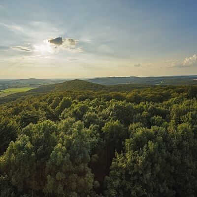 Dissen TERRA.vita