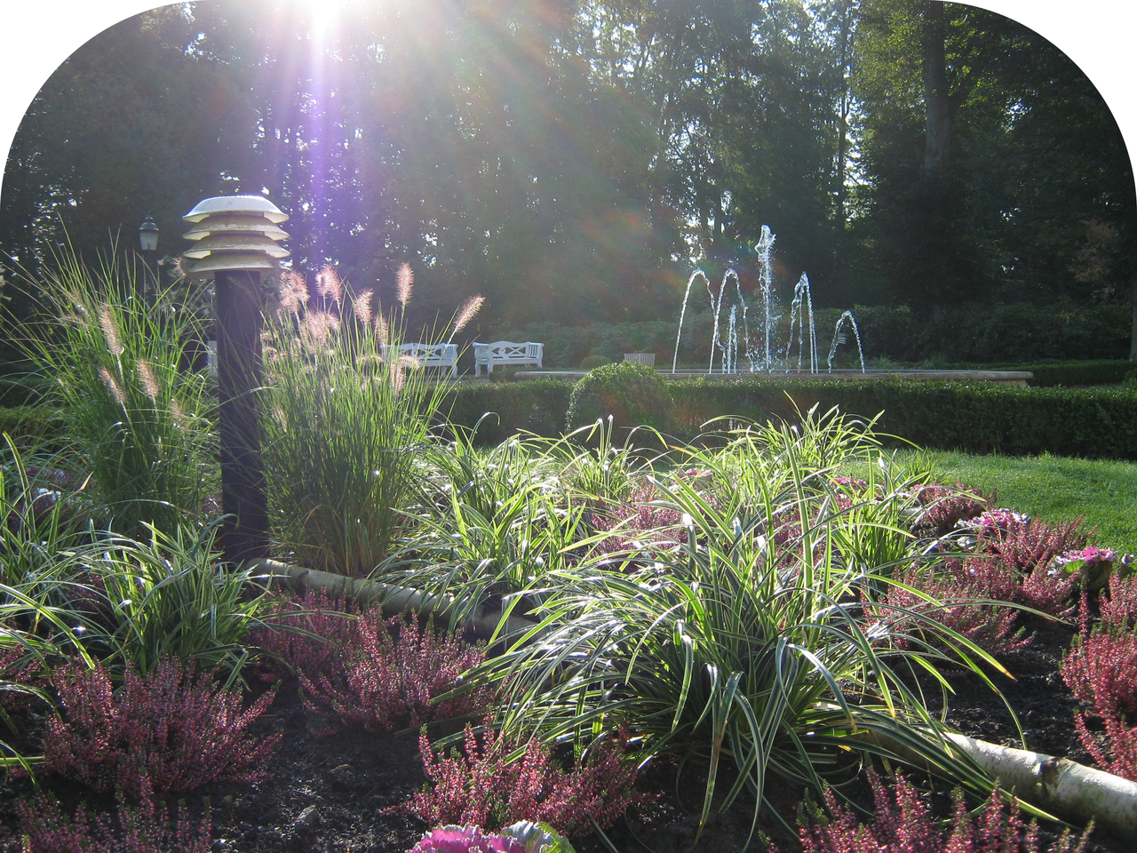 Bepflanzung_Kurpark