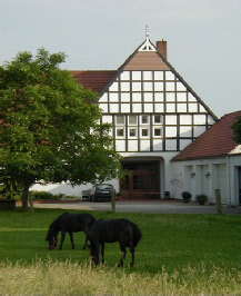 FeWo Hansen
