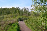 Moorweg2