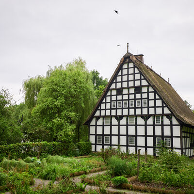 Museumshof (23)
