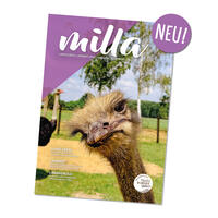 Titelseite_Milla_Online