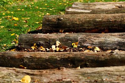Holzsteg auf dem Barfu�pfad in Bad Holzhausen