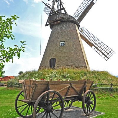 M�hle in Hille. Bepflanzter Holzwagen im Vordergrund