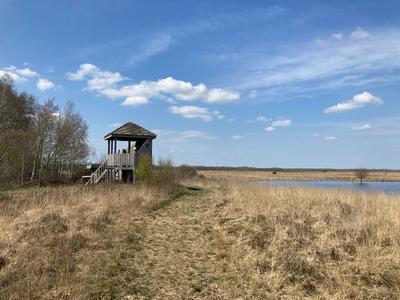 Aussichtsturm im Oppenweher Moor