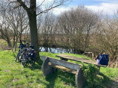 Landschaft mit Blick auf einen Bach, Parkbank im Vordergrund. Abgestellte Fahrr�der lehnen an einem Baum.