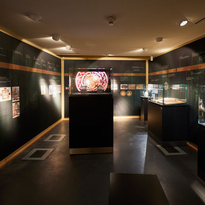 Widukind Museum (23)