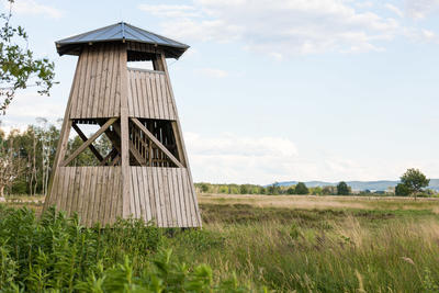 Aussichtsturm im Hiller Torfmoor, Gemeinde Hille, Norddeutschland