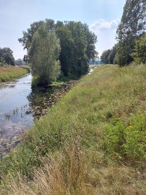 Zusammenflu� Kleine- und Gro�e Aue 2