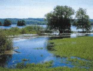 Nationalpark Uckermark
