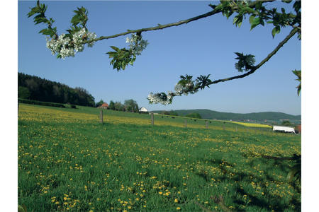 Ortschaft_Fr�hling_am_Reineberg_Ahlsen
