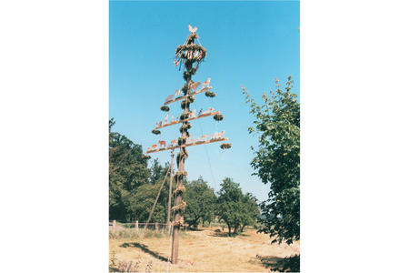 Ortschaft_Erntebaum_Br�derhausen