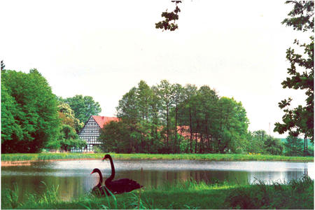 Ortschaft_B�ttendorfer_Fischteiche
