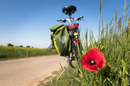 to-go-biking-g993bef8cc_1920