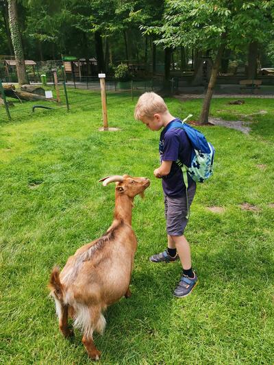 Tierpark 1