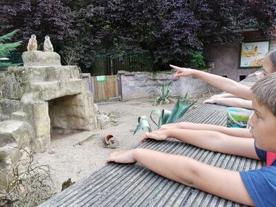 Tierpark 2