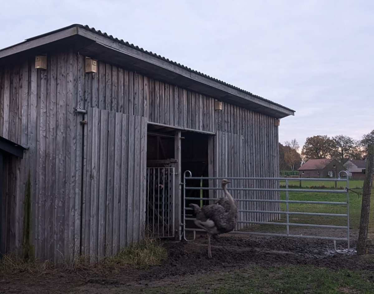 RB24_AL_Erlebnistreffpunkt im Gr�nen - Strau�enfarm Tonnenheide