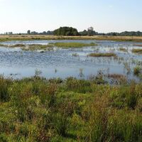 Bild vergr&ouml;&szlig;ern: Torfmoor Landschaft Ost