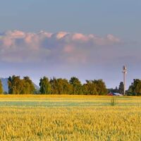 Bild vergr&ouml;&szlig;ern: So sch�n ist der Kreis