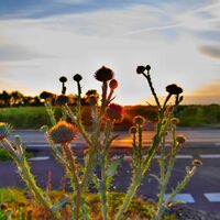Bild vergr&ouml;&szlig;ern: So sch�n ist der Kreis
