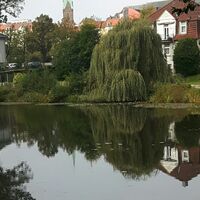 Bild vergr&ouml;&szlig;ern: So sch�n ist der Kreis
