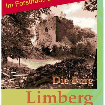 Buch "Die Burg Limberg, Mittelpunkt einer Region, Beitr�ge zur Geschichte und Gegenwart"