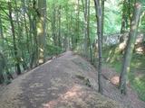 �u�erer Erdwall der Burg Limberg  mit dem Burgraben (rechts) an der S�dseite. Im Hintergrund Teile der S�dmauer.