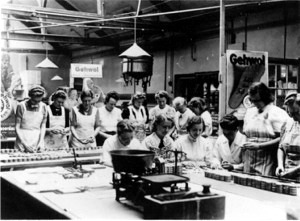 Dienstverpflichtete Frauen im Jahre 1943 bei der Fu&szlig;kremeverpackung in der Firma Ed. Gerlach