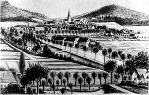 Stadtansicht um 1890. Unten links die Rote M&uuml;hle, dar&uuml;ber die Brinkm&uuml;hle.