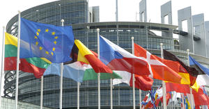 Europawahl 2014