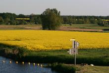 Weserlandschaft